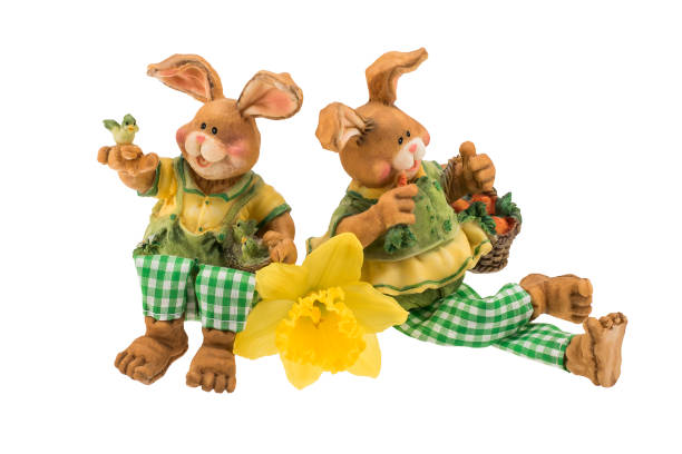 istock Couple of decorative easter bunnies with daffodil 917587696