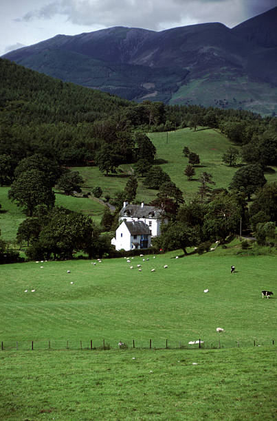 istock Farmhouse, Cumbria, England 91758967