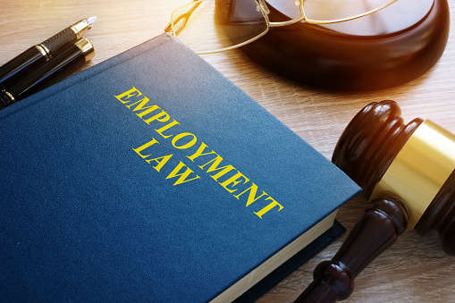 Concepto de ley de empleo. Libro y mazo en un escritorio. photo