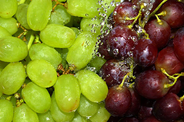 istock rinsing green and red grapes 91759175