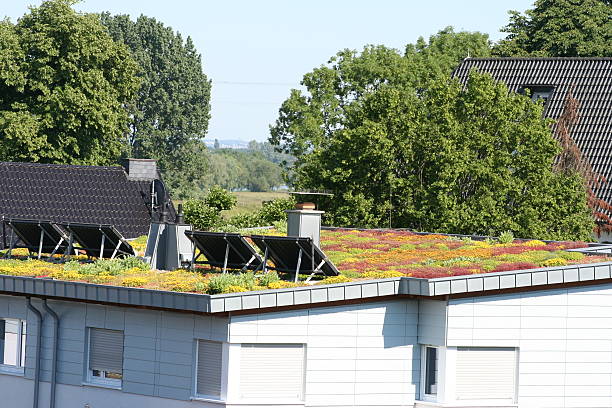 istock green roof on house 91759234
