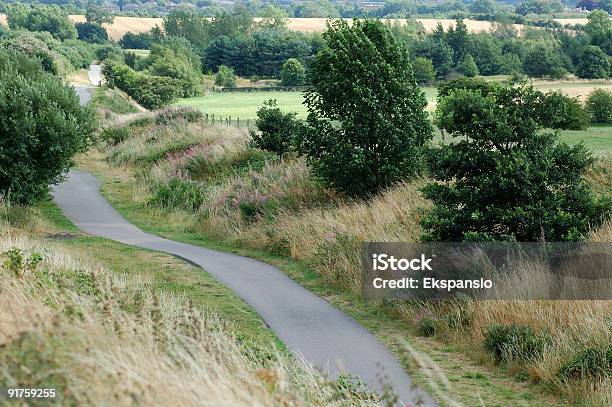 のグリーンウェイ - イギリスのストックフォトや画像を多数ご用意 - イギリス, 自転車レーン, 農村の風景