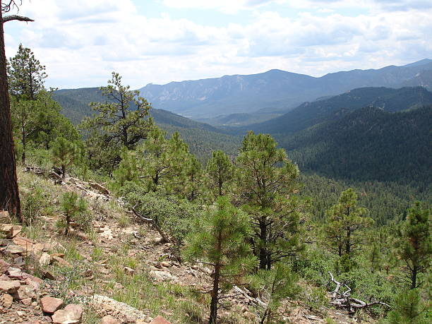 istock Peaks and Valleys New Mexico 91759346
