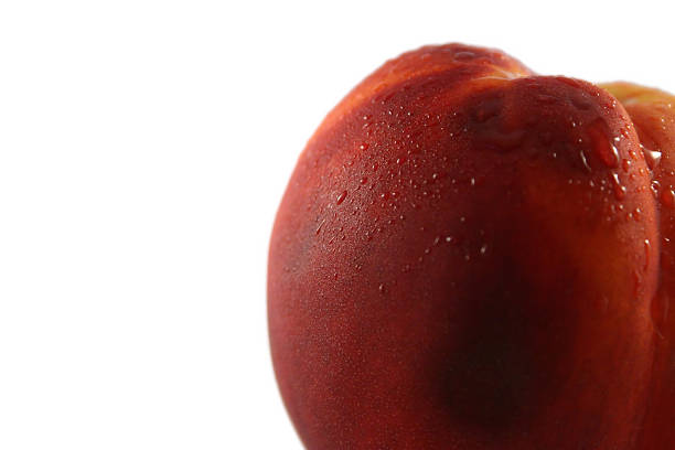 nectarine
