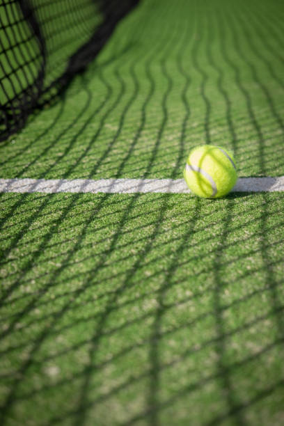 istock Paddle tennis court and net with a ball 917595508