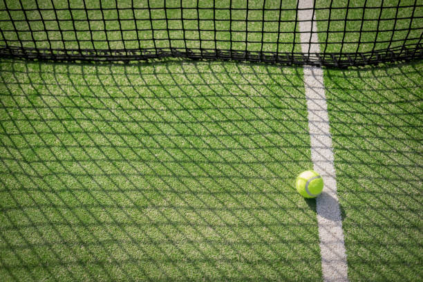 istock Paddle tennis court and net with a ball 917597434
