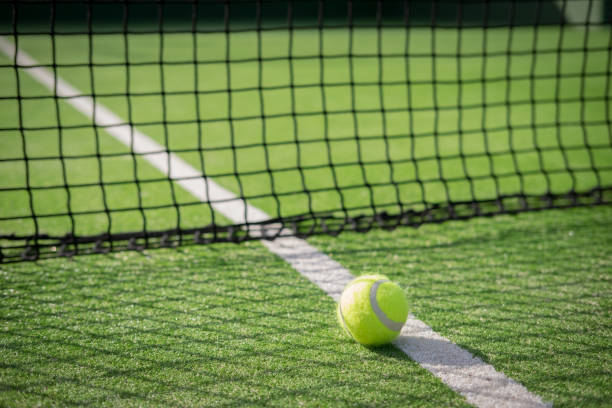 istock Paddle tennis court and net with a ball 917597500