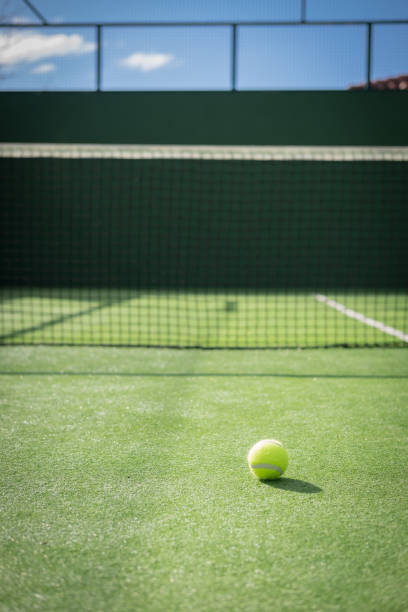 istock Paddle tennis court and net with a ball 917597538
