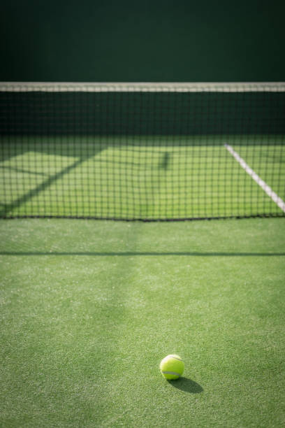 istock Paddle tennis court and net with a ball 917597548
