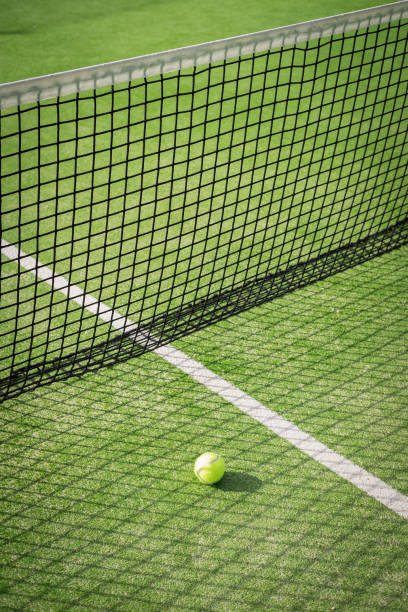 istock Paddle tennis court and net with a ball 917597836