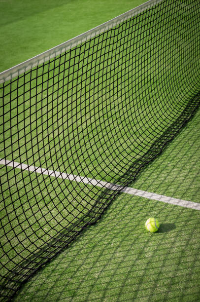 istock Paddle tennis court and net with a ball 917597848