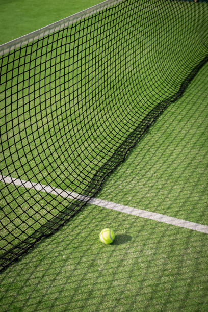 istock Paddle tennis court and net with a ball 917597852