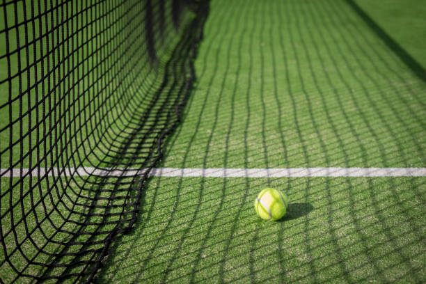 istock Paddle tennis court and net with a ball 917597878