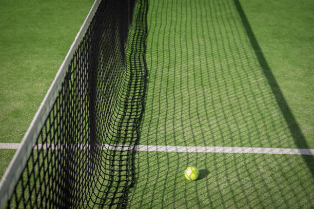 istock Paddle tennis court and net with a ball 917597880