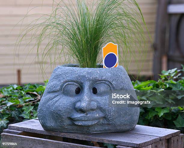 Fun Flower Pot Stock Photo - Download Image Now - Animal Nose, Color Image, Flower