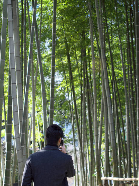 istock Men among the bamboo grove 917601906