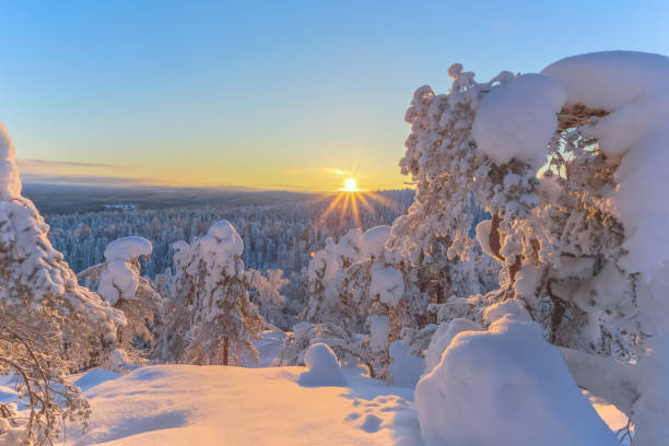 istock Winter sunset landscape from Sotkamo, Finland. 917602764