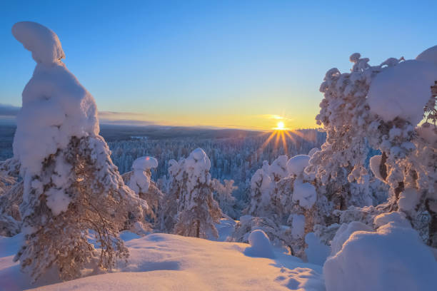 istock Winter sunset landscape from Sotkamo, Finland. 917602774