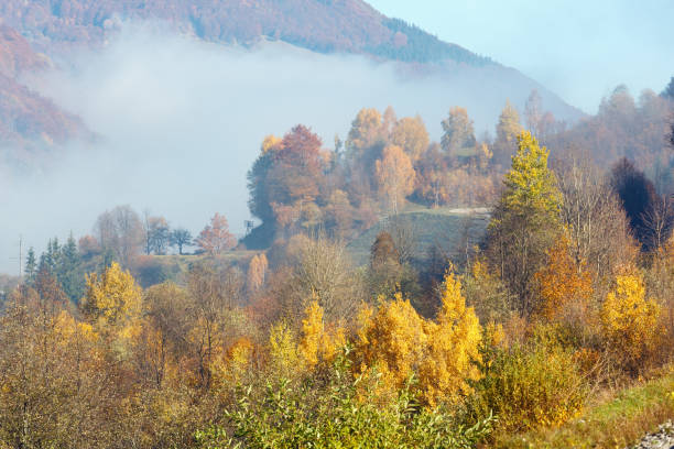 istock Morning autumn Carpathian mountains, Ukraine 917605844