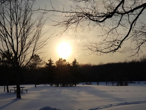 istock February sunset over pond and picnic area with table. 917606102