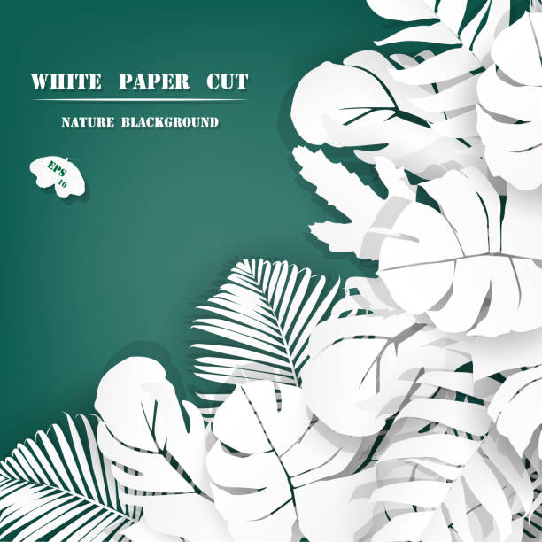 istock white tropical floral paper cut on green background spring  summer collection  ,vector illustration 917614800