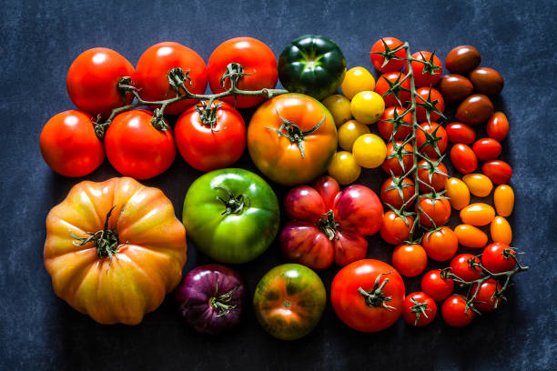 pomidorowe wariaty na ciemnym tle - heirloom tomato organic tomato rustic zdjęcia i obrazy z banku zdjęć