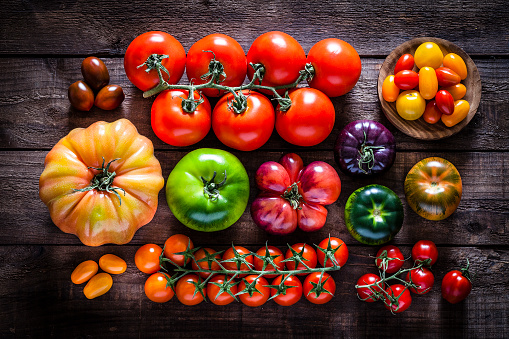 Top view of a rustic wooden table filled with a large variety of multi colored ripe tomatoes. DSRL studio photo taken with Canon EOS 5D Mk II and Canon EF 100mm f/2.8L Macro IS USM