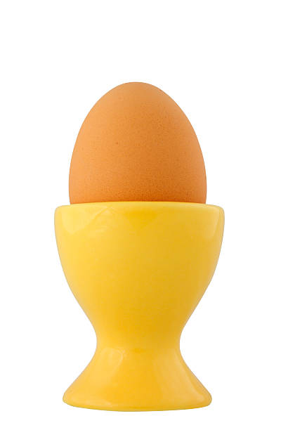 egg stock photo