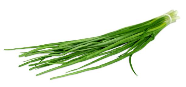 zioło. - chive isolated herb freshness zdjęcia i obrazy z banku zdjęć