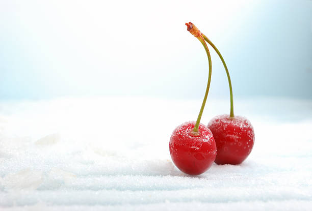 frozen cherries are on a saucer in the kitchen