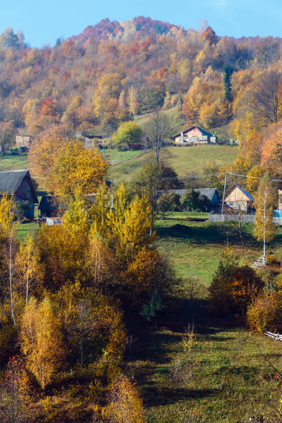 istock Autumn Carpathian mountains, Ukraine 917629146