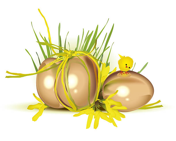 Golden eggs vector art illustration