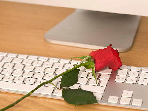 walentynki czerwona róża na klawiaturze - english rose zdjęcia i obrazy z banku zdjęć