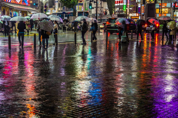cidade na chuva: chuva torrencial em rua movimentada de tóquio à noite - raining cats and dogs - fotografias e filmes do acervo