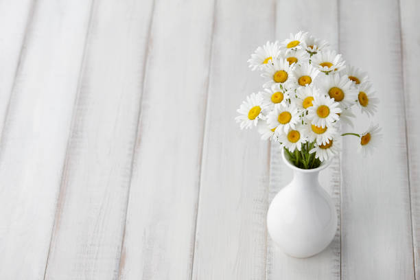 istock Chamomiles or daisies in white vase 917633276