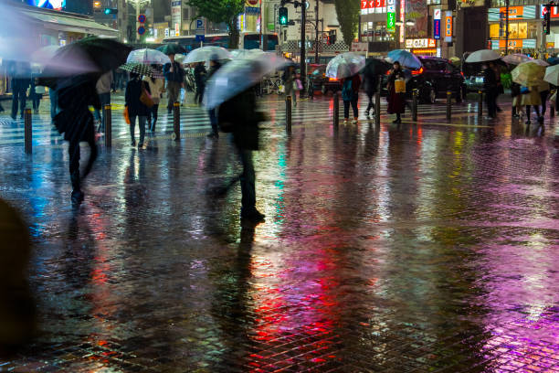 雨の中での都市: 東京の繁華街、夜の豪雨 - raining cats and dogs 英語の慣用句 ストックフォトと画像