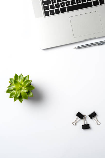 istock Modern laptop and business accessories on white background 917637440