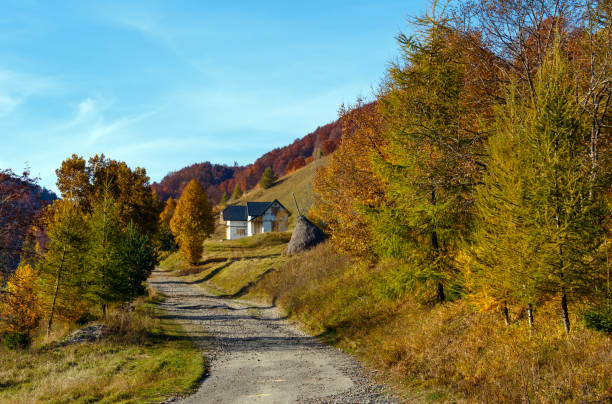 Dirty secondary road in autumn Carpathian mountain, Ukraine