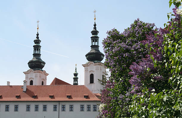 istock Strahov Library Theological Hall in Prague 91763858