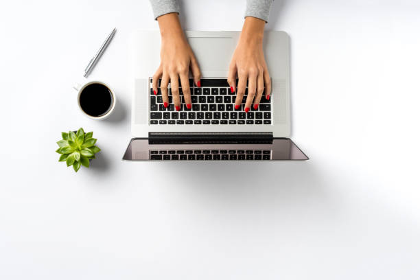 Female hands working on modern laptop. stock photo