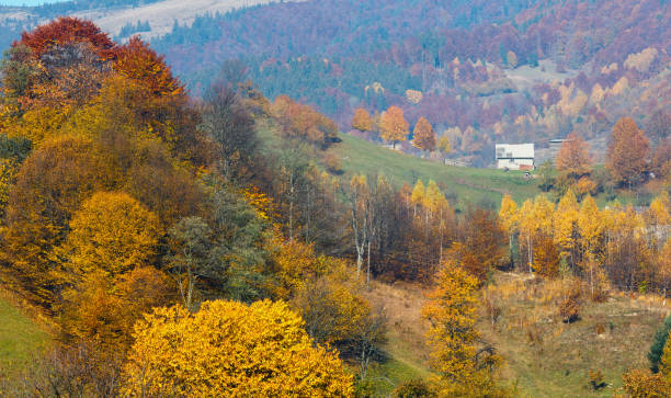 istock Autumn Carpathian mountains, Ukraine 917641994