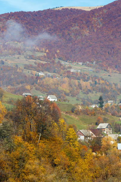 istock Morning autumn Carpathian mountains, Ukraine 917645160