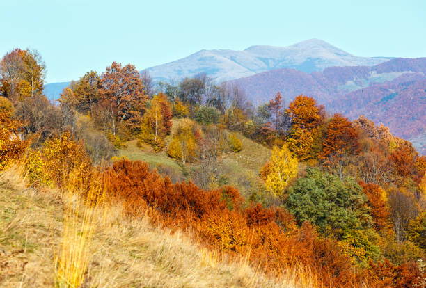 istock Autumn Carpathian mountain, Ukraine 917645558