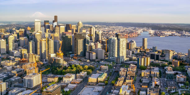 istock Modern cityscape with sea 917652278