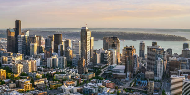 istock Modern cityscape with sea 917652290