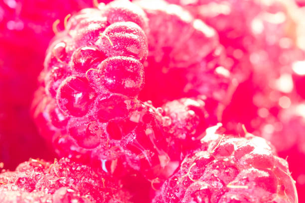 istock Fresh sweet raspberries close up. 917652442