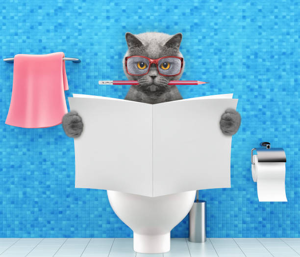 istock Cat sitting on a toilet seat with digestion problems or constipation reading magazine or newspaper and writing 917657326