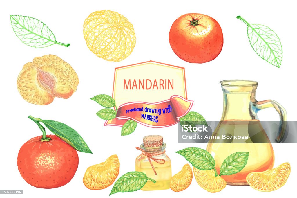 The tangerines set clipart. Freehand drawing with MARKERS Set clipart with tangerines, jug Bank with essential oil, tangerine, Mandarin slices and leaves. For design templates, print on paper. Healthy food, natural product, environmentally friendly. On a white background Art stock illustration