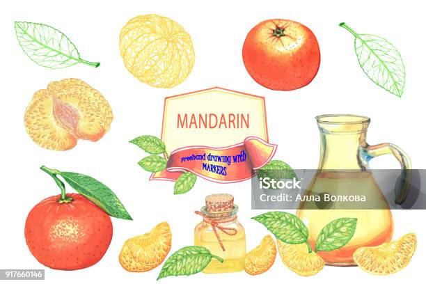 The Tangerines Set Clipart Freehand Drawing With Markers Stock Illustration - Download Image Now