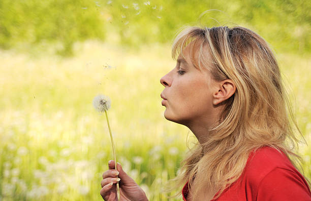 istock Girl blows on dandelion and thinks desire 91766272